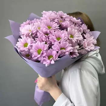 PARTY DAY Хризантема кустовая