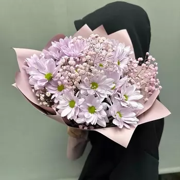 PARTY DAY Хризантема кустовая с гипсофилой