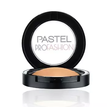 PASTEL Пудра для лица PROFASHION WET & DRY POWDER