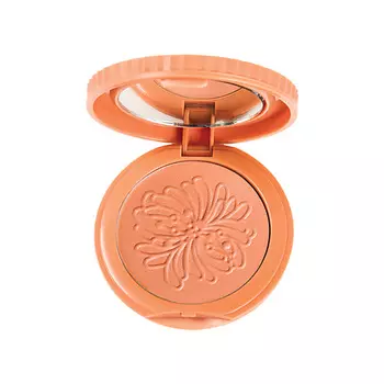 PASTEL Румяна Profashion Spring Blush-On