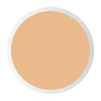 PASTEL Жидкий консилер для лица PROFASHION LIQUID CONCEALER