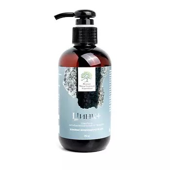 ПЕРВАЯ МОНАСТЫРСКАЯ ЗДРАВНИЦА Шампунь для волос Цинк+ 250.0