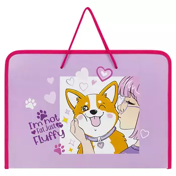 ПИФАГОР Папка для труда с ручками Акита