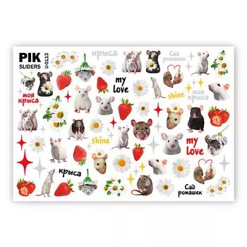 PIK Слайдеры для ногтей P-113 Крысы