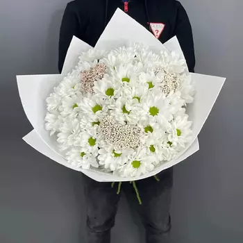 PINKBUKET Букет "Сайл" кустовая ромашковая хризантема