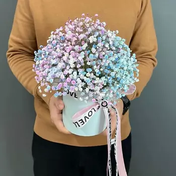 PINKBUKET Цветное Облако из гипсофил