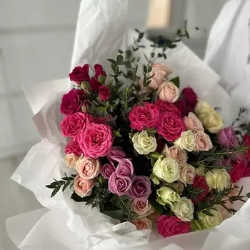 PION KLD Букер Очаровательная кокетка