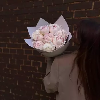 PION KLD Невесомость