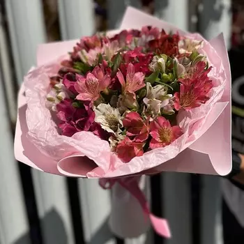 PION KLD Вечность