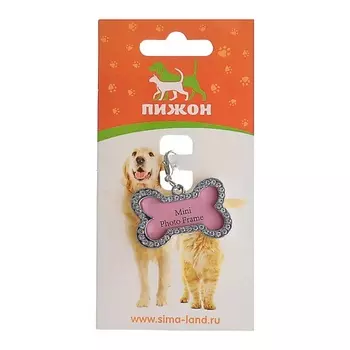 ПИЖОН Адресник под записку "Косточка"