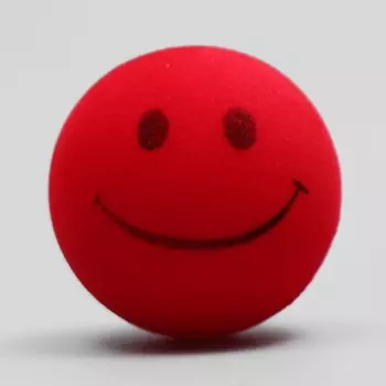 ПИЖОН Игрушка бархатная с пищалкой "Улыбка"