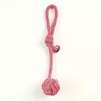 ПИЖОН Игрушка-дразнилка для собак с шариком из каната
