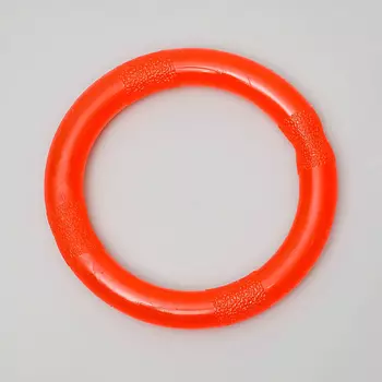 ПИЖОН Игрушка "Кольцо"