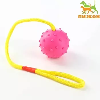 ПИЖОН Игрушка мяч на веревке