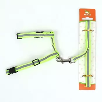 ПИЖОН Комплект для кошек светоотражающий