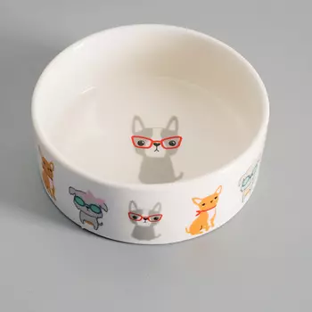 ПИЖОН Миска керамическая "Важный пес"