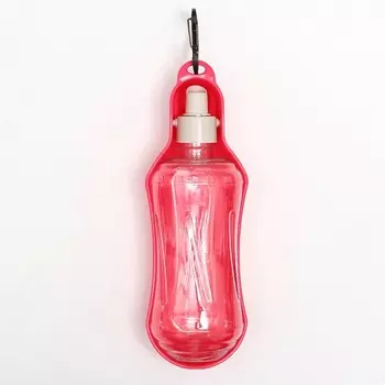 ПИЖОН Поилка прогулочная фигурная