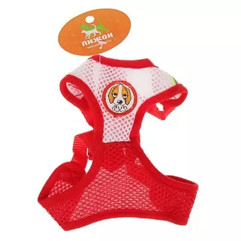 ПИЖОН Шлейка регулируемая дышащая, светоотражающая