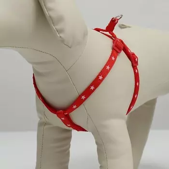 ПИЖОН Шлейка "Звезды"