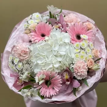 ПЛАНЕТА ЦВЕТОВ ТВОЯ ПЛАНЕТА Андромеда