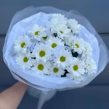 ПЛАНЕТА ЦВЕТОВ ТВОЯ ПЛАНЕТА Безе