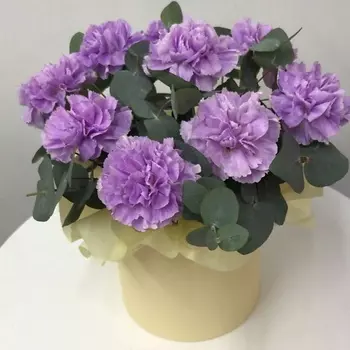 ПЛАНЕТА ЦВЕТОВ ТВОЯ ПЛАНЕТА Элегия