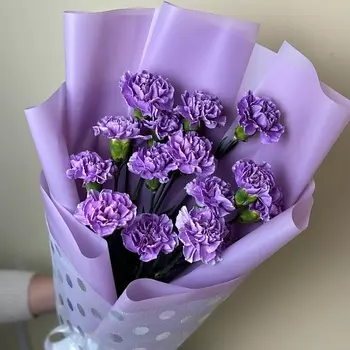 ПЛАНЕТА ЦВЕТОВ ТВОЯ ПЛАНЕТА Лунный свет