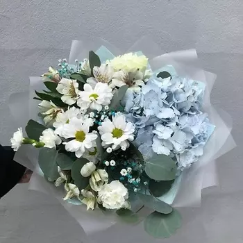 ПЛАНЕТА ЦВЕТОВ ТВОЯ ПЛАНЕТА Небесная лазурь