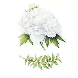 ПОЛИСФЕРА Временная переводная татуировка Tattoo PS-014