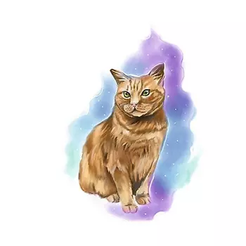 ПОЛИСФЕРА Временная переводная татуировка Tattoo PS&KG-032