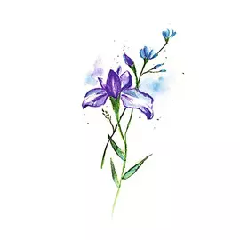 ПОЛИСФЕРА Временная переводная татуировка Tattoo PS&KG-065