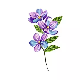 ПОЛИСФЕРА Временная переводная татуировка Tattoo PS&KG-066