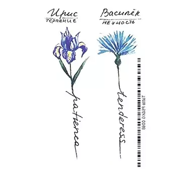 ПОЛИСФЕРА Временная переводная татуировка Tattoo PS&KG-068