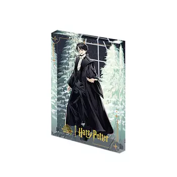 POP MART Игрушка Harry Potter Ball Collection, Flowing Sand Acrylic Harry Potter