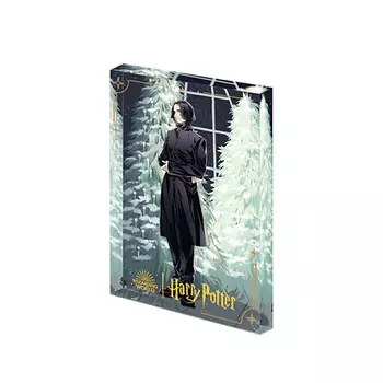 POP MART Игрушка Harry Potter Ball Collection, Flowing Sand Acrylic Severus Snape