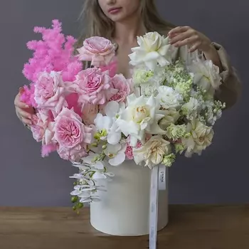 ПОВОД НАЙДЕТСЯ Санта-Роза