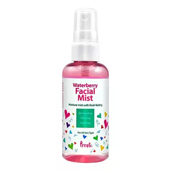 PRRETI Мист для лица увлажняющий