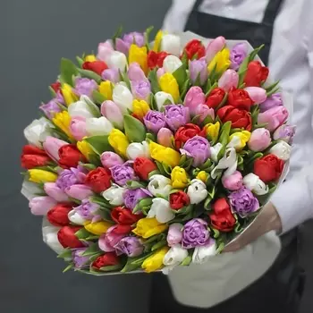 ПЯТЬ ЦВЕТОВ Букет 101 тюльпан микс
