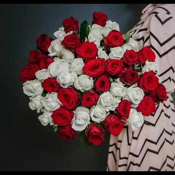 ПЯТЬ ЦВЕТОВ Букет 51 красно-белая роза, Эквадор 50 см