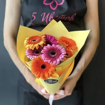 ПЯТЬ ЦВЕТОВ Букет 7 гербер микс