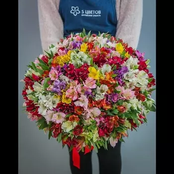 ПЯТЬ ЦВЕТОВ Букет из 101 альстромерии микс