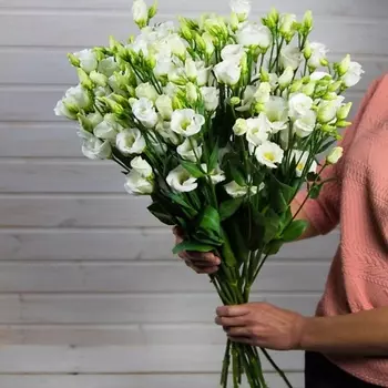 ПЯТЬ ЦВЕТОВ Букет из 15 эустом