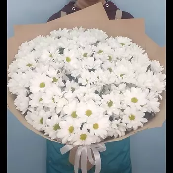 ПЯТЬ ЦВЕТОВ Букет из 19 белых хризантем в крафте