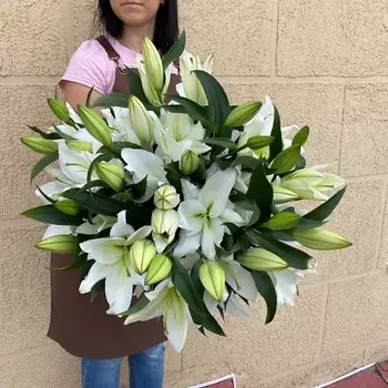ПЯТЬ ЦВЕТОВ Букет из 19 белых лилий