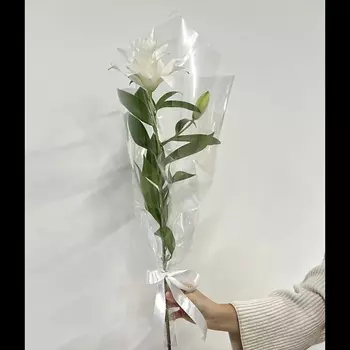 ПЯТЬ ЦВЕТОВ Букет из 1 лилии в прозрачной упаковке