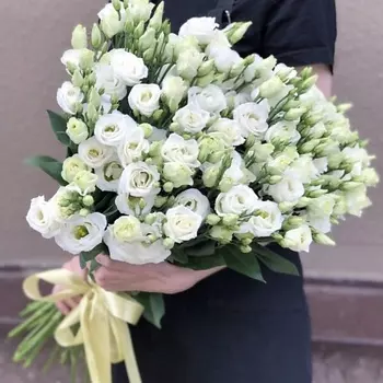 ПЯТЬ ЦВЕТОВ Букет из 25 эустом