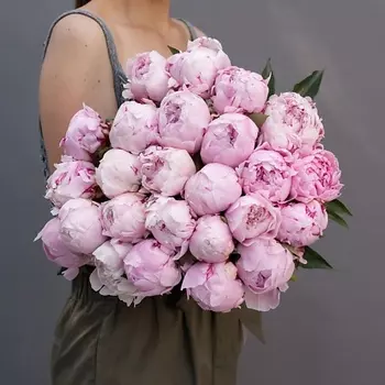 ПЯТЬ ЦВЕТОВ Букет из 25 розовых пионов