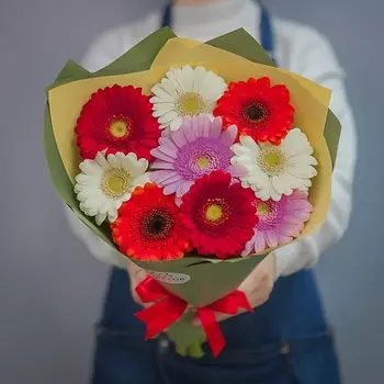 ПЯТЬ ЦВЕТОВ Букет из 9 гербер микс