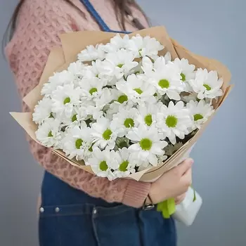 ПЯТЬ ЦВЕТОВ Букет из 9 кустовых хризантем в крафте