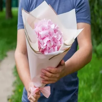 ПЯТЬ ЦВЕТОВ Букет из розовой гортензии